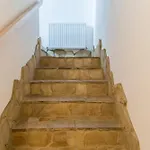 Apartmán Zielona Owieczka Zámek Niedzica