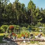 Zielona Owieczka * ニエジツァ・ザメク